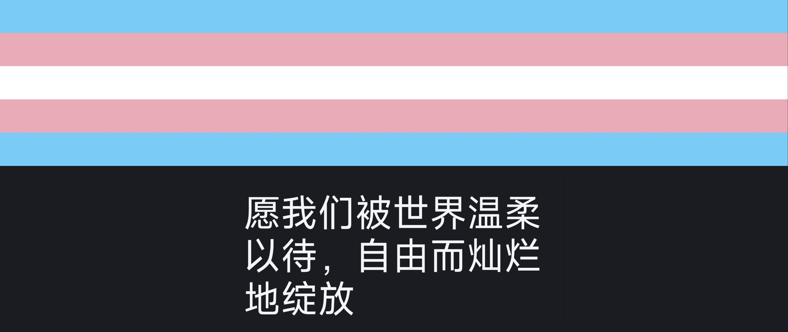 愿我们被世界温柔以待，自由而灿烂地绽放